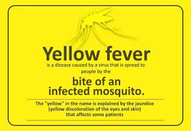 yellow fever vaccine side effects